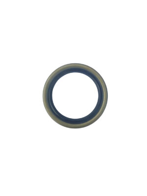 Double-lip oil seal 2