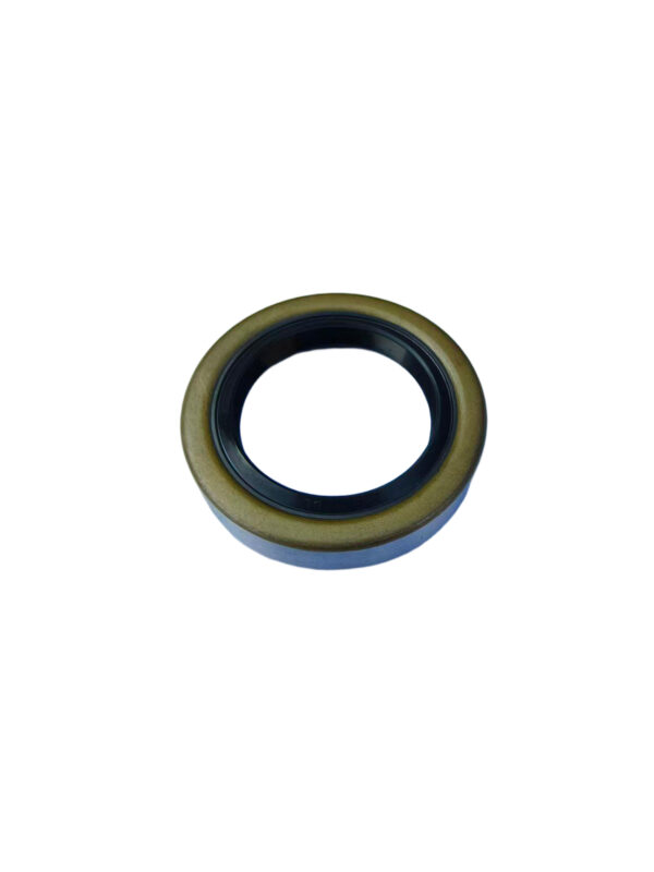 Double-lip oil seal